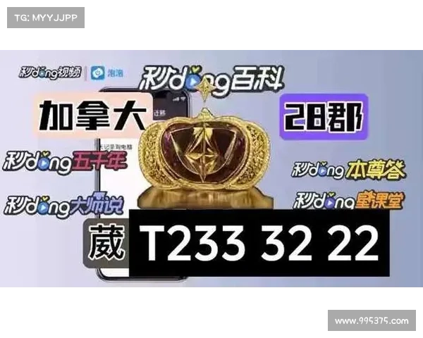 加拿大28玩法解析与技巧分享,带你轻松掌握游戏规则与策略技巧 加拿大28玩法解析与技巧分享,带你轻松掌握游戏规则与策略技巧